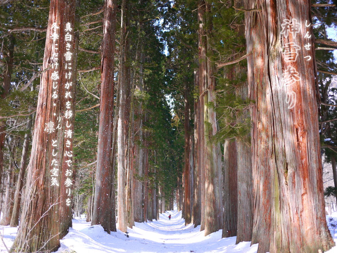 http://www.togakushi-jinja.jp/news/images/9e18bb6e77259090ddeb486c8a9995f755b481b9.jpg