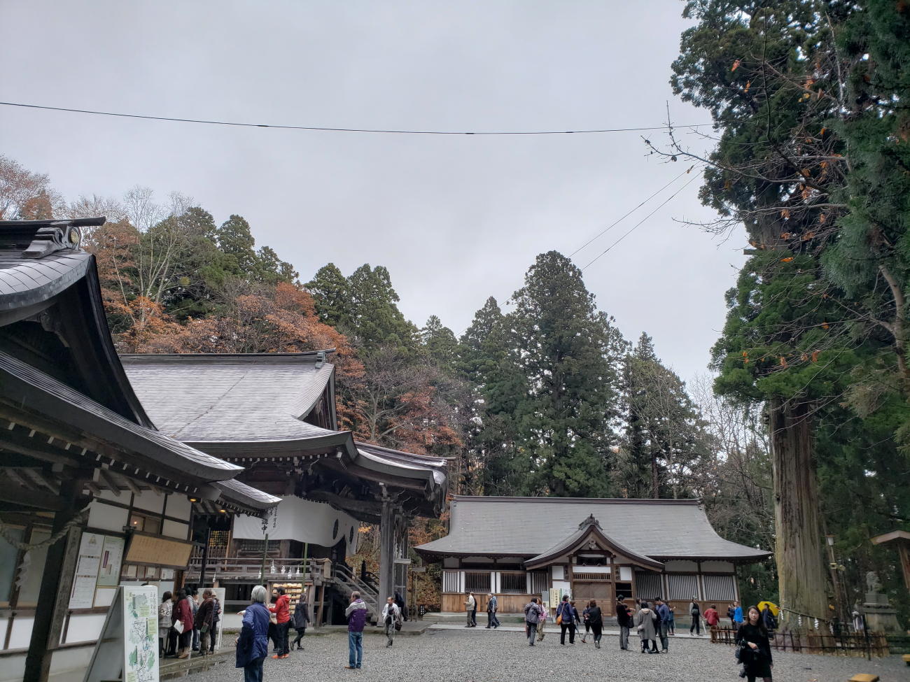 戸隠神社日記明日は「立冬」奥社参道は特別な日を迎えます。